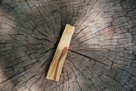 Palo santo stick on wooden stump, top viewの写真素材