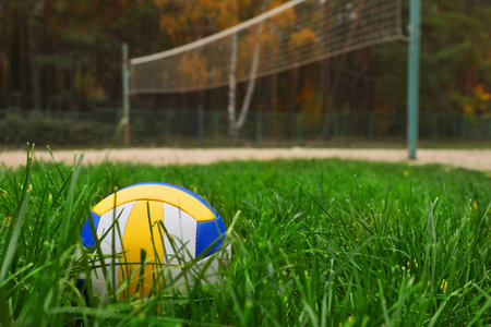 Colorful volleyball ball on green grass, space for textの写真素材