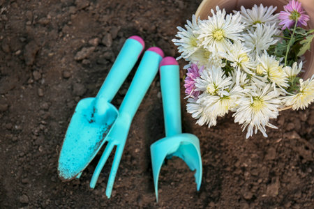 Gardening tools and bucket with flowers on ground outdoors, top viewの写真素材