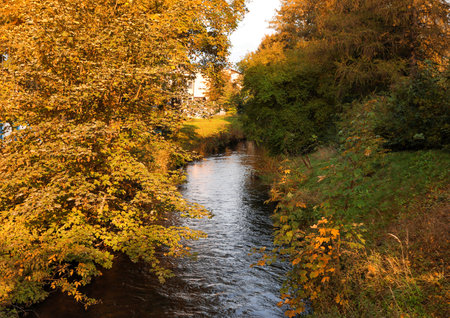 Picturesque view of river in beautiful park. autumn season
