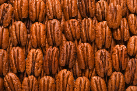 Tasty fresh ripe pecan nuts as background, top viewの写真素材