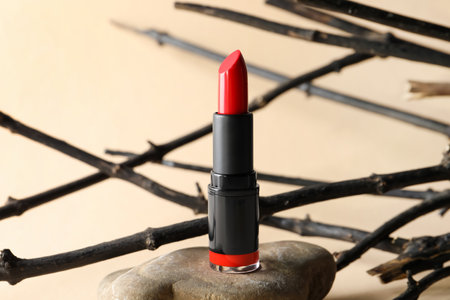 Beautiful red lipstick on stone and tree twigs against beige backgroundの写真素材