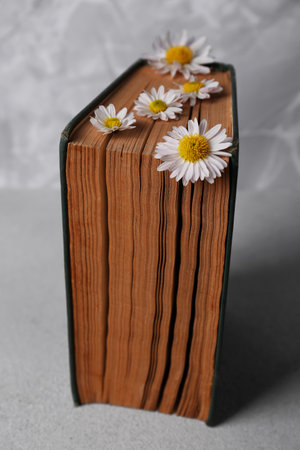 Book with chamomile flowers as bookmark on light gray tableの写真素材