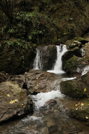 Beautiful view of mountain waterfall, rocks and green plants