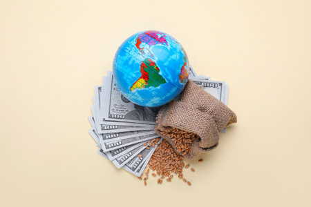 Import and export concept. Globe, bag of wheat grains and banknotes on beige background, flat layの写真素材