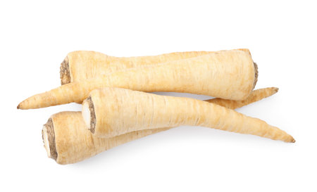 Raw parsley roots isolated on white, top viewの写真素材