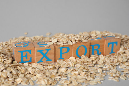 Pile of oatmeal and wooden cubes with word Export on gray background, closeupの写真素材