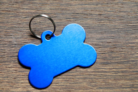 Light blue metal pet tag in shape of bone with ring on wooden table, closeup. Space for text