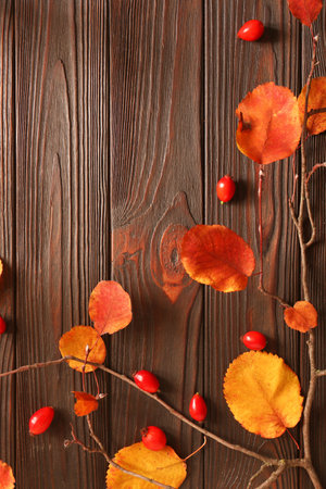 Tree branch with yellowed leaves and rosehip berries on wooden table, flat lay. Space for textの写真素材