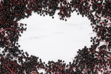 Frame of ripe elderberries on white marble table, flat lay. Space for textの写真素材