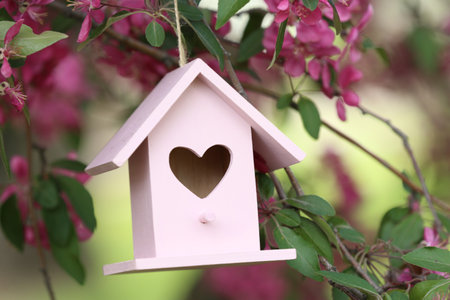 Wooden bird house on blossoming tree outdoorsの写真素材
