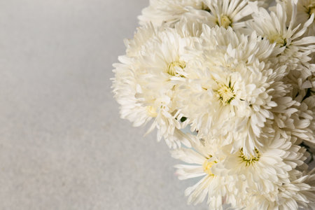 Many beautiful chrysanthemum flowers on light gray table, closeup. Space for textの写真素材