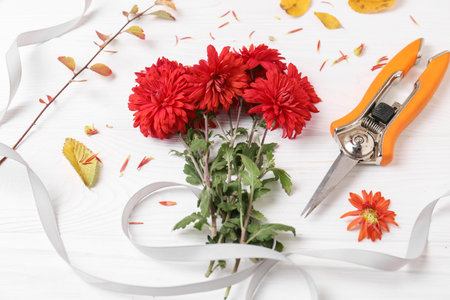 Composition with secateurs, ribbon and Chrysanthemum flowers on white wooden tableの写真素材