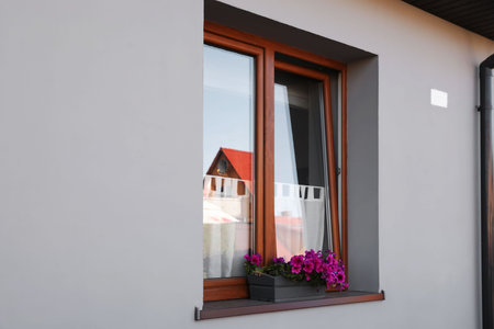 View of flower box on window sill outdoors