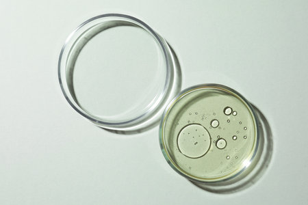Petri dishes with essence on light gray background, top view