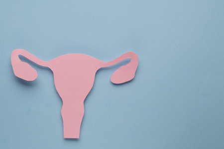 woman's health. Paper uterus on light blue background, top view with space for textの写真素材