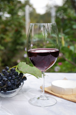 Glass of red wine and snacks served on white marble table outdoorsの写真素材