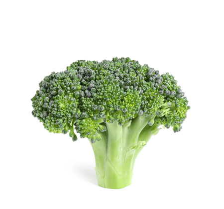 Fresh green raw broccoli on white backgroundの写真素材