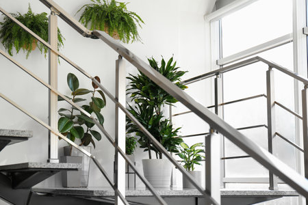 Different plants on stairs indoors. home design ideasの写真素材