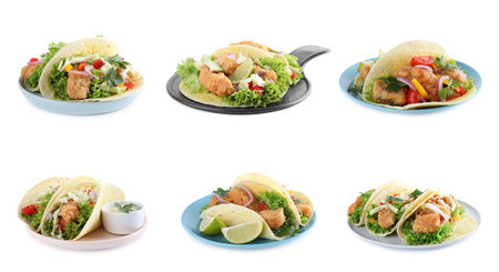 Set of delicious fresh fish tacos on white backgroundの写真素材