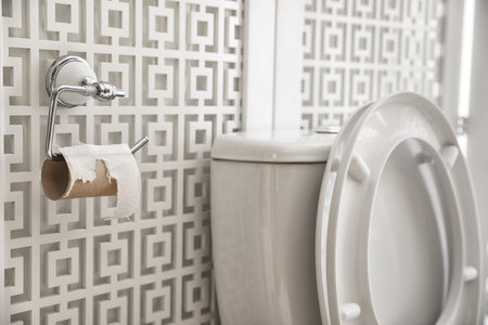Toilet and holder with empty paper roll in bathroom