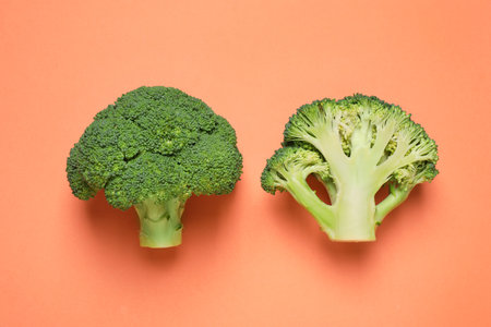 Fresh tasty broccoli on peach background, flat layの写真素材
