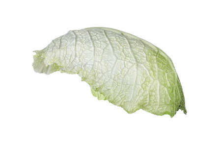 Green leaf of savoy cabbage isolated on whiteの写真素材