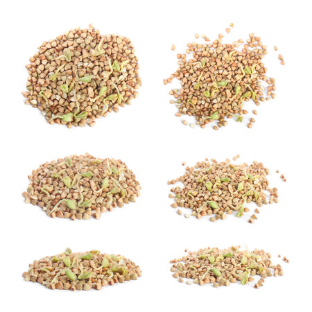 Set of sprouted green buckwheat isolated on whiteの写真素材