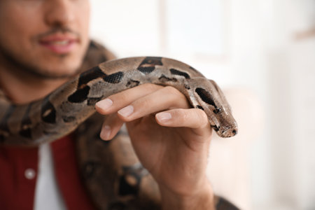 Man with his boa constrictor at home, closeup. exotic pet