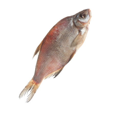 Tasty dried fish isolated on white. sea foodの写真素材