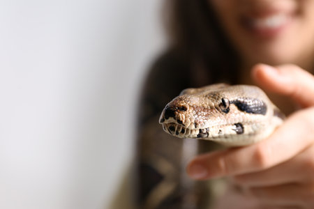 Woman with her boa constrictor at home, closeup. exotic petの写真素材
