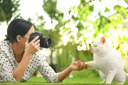 Professional animal photographer taking picture of beautiful white cat outdoorsの写真素材