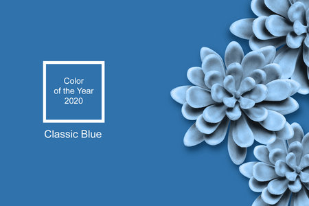 Decorative succulents on bright background, flat lay. Color of the year 2020 (Classic blue)の写真素材