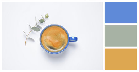 Coffee in cup and eucalyptus on white background, top view. Color of the year 2020 (Classic blue)の写真素材