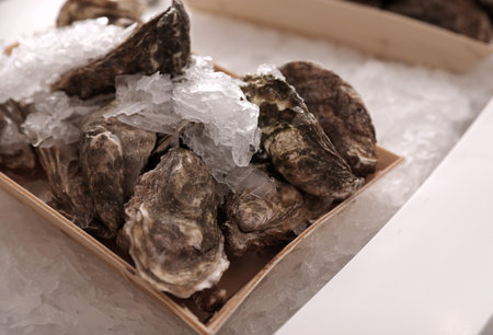 Fresh oysters with ice on display, closeup. wholesale market