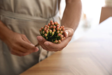 Florist with beautiful brunia flower in workshop, closeupの写真素材