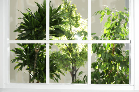 Beautiful view through window on garden in the morning