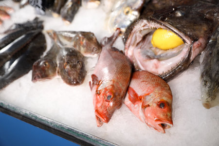 Different types of fresh fish on ice in supermarket