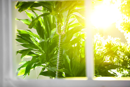 Beautiful view through window on garden in the morning