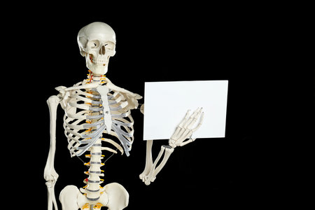 Artificial human skeleton model with blank paper sheet on black background. Space for textの写真素材