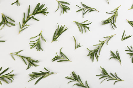 Flat lay composition with fresh rosemary on light backgroundの写真素材