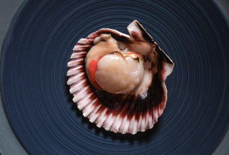 Shell with fresh scallop on plate, top viewの写真素材