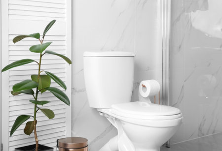 Ceramic toilet bowl in modern bathroom interiorの写真素材