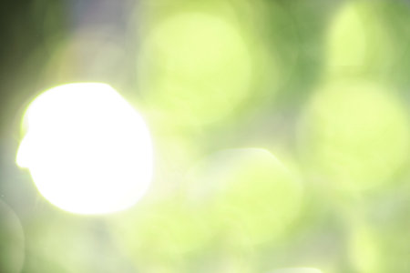 Blurred view through window on garden in the morningの写真素材