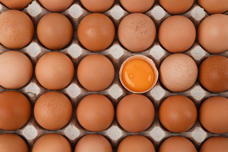 Raw chicken eggs in cardboard tray, top view