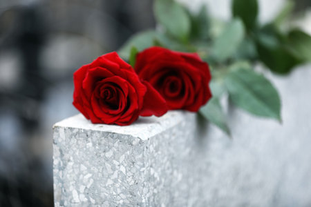 Red roses on light gray tombstone outdoors, closeup. Funeral ceremonyの写真素材
