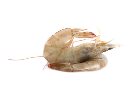 Fresh raw shrimps isolated on white. Healthy seafoodの写真素材