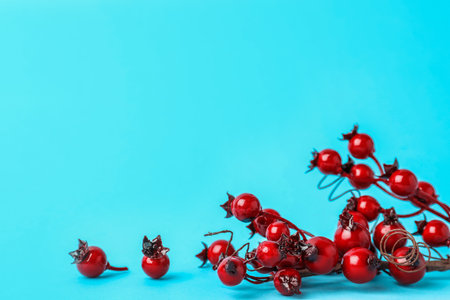 Decorative branches on light blue background, space for text. winter seasonの写真素材