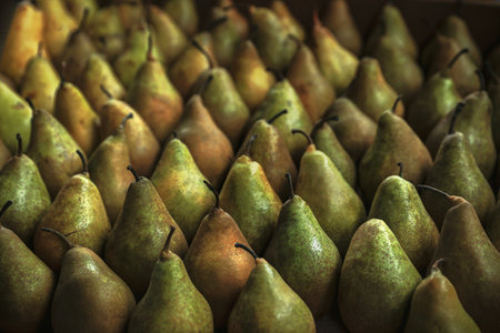 Sweet tasty fresh pears, closeup. wholesale market
