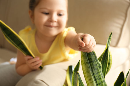 Little girl breaking houseplant at home, closeupの写真素材